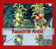 SrbijaOglasi - Istina o sadnji voća u jesen