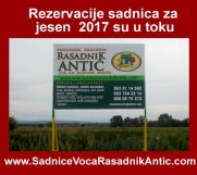Rezervacija voćnih sadnica i vinove loze za jesen 2017