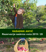 Voćne Sadnice - Rezervacija Jesen 2019