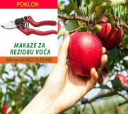 Batajnica - Voćne sadnice - hit jesenja cena za 2018