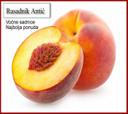 Batajnica - 