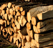SrbijaOglasi - Prodajem drva za ogrev