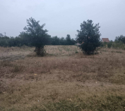 SrbijaOglasi - Plac na prodaju – Bočar, 1666 m²
