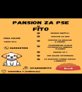 SrbijaOglasi - Pansion za pse 